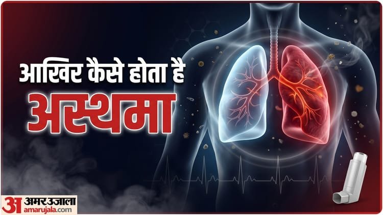 Asthma Risk: Do you also have asthma? Apart from difficulty in breathing, also pay attention to these symptoms – World Asthma Day 2026 Root Cause And Risk Factors Of Asthma Kyu Hota Hai