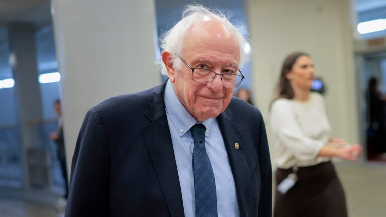Sanders used donor funds for Netflix despite criticizing the company