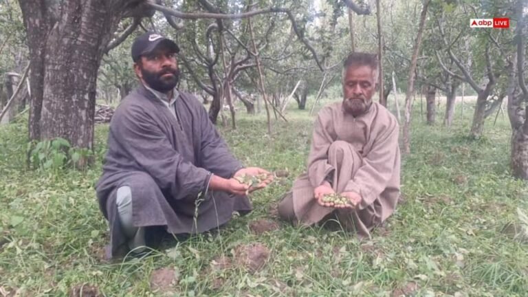 Kashmir News: Double blow to apple farmers of Kashmir, after hailstorm, now petrol and diesel prices have increased the problem.