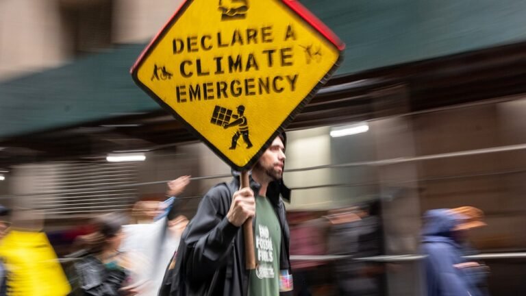 Watchdog probes funding trail behind climate seminars for judges