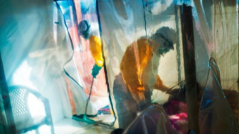 New Ebola outbreak in Congo kills 65 as officials investigate virus strain