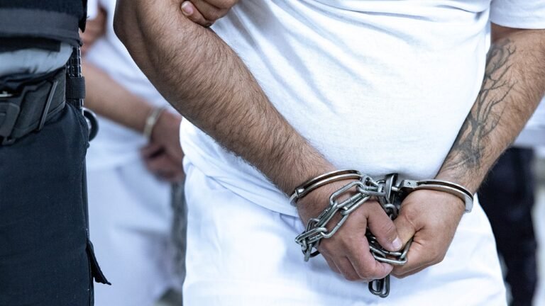 Alleged Tren de Aragua leader extradited to Houston for terror charges