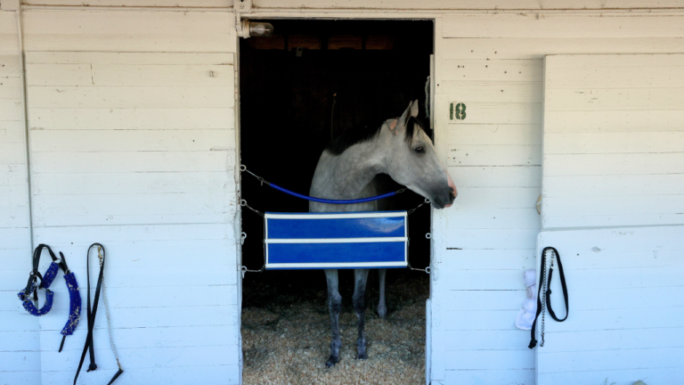 Kentucky Derby horse stalls at Churchill Downs cost just $7.50 a day