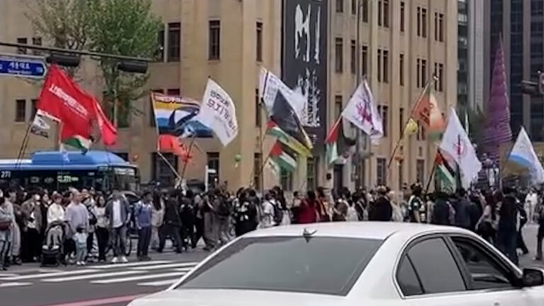South Korea holds pro-Palestine protest in solidarity with Gaza | Protests
