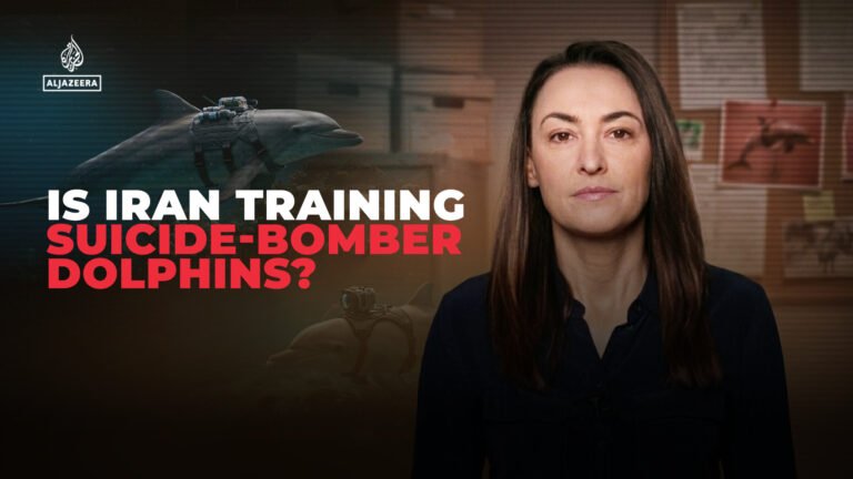 Why are Pentagon officials talking about Iran’s ‘deadly dolphins’? | US-Israel war on Iran
