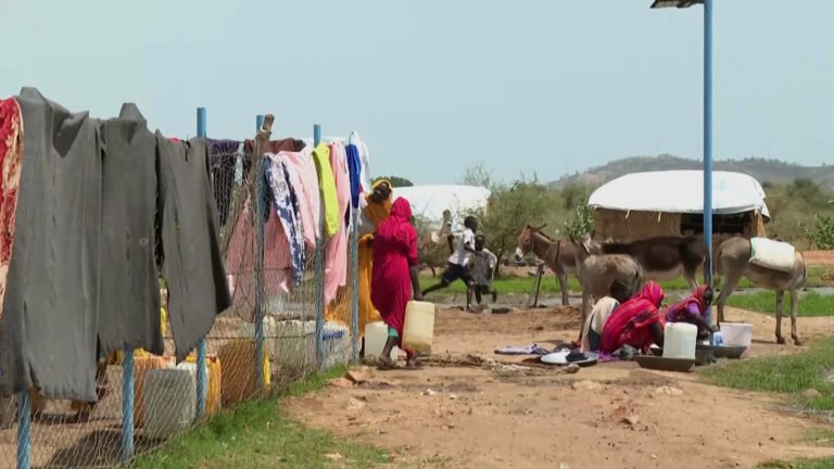 Sudanese army advances in Blue Nile state deepen displacement crisis | Newsfeed