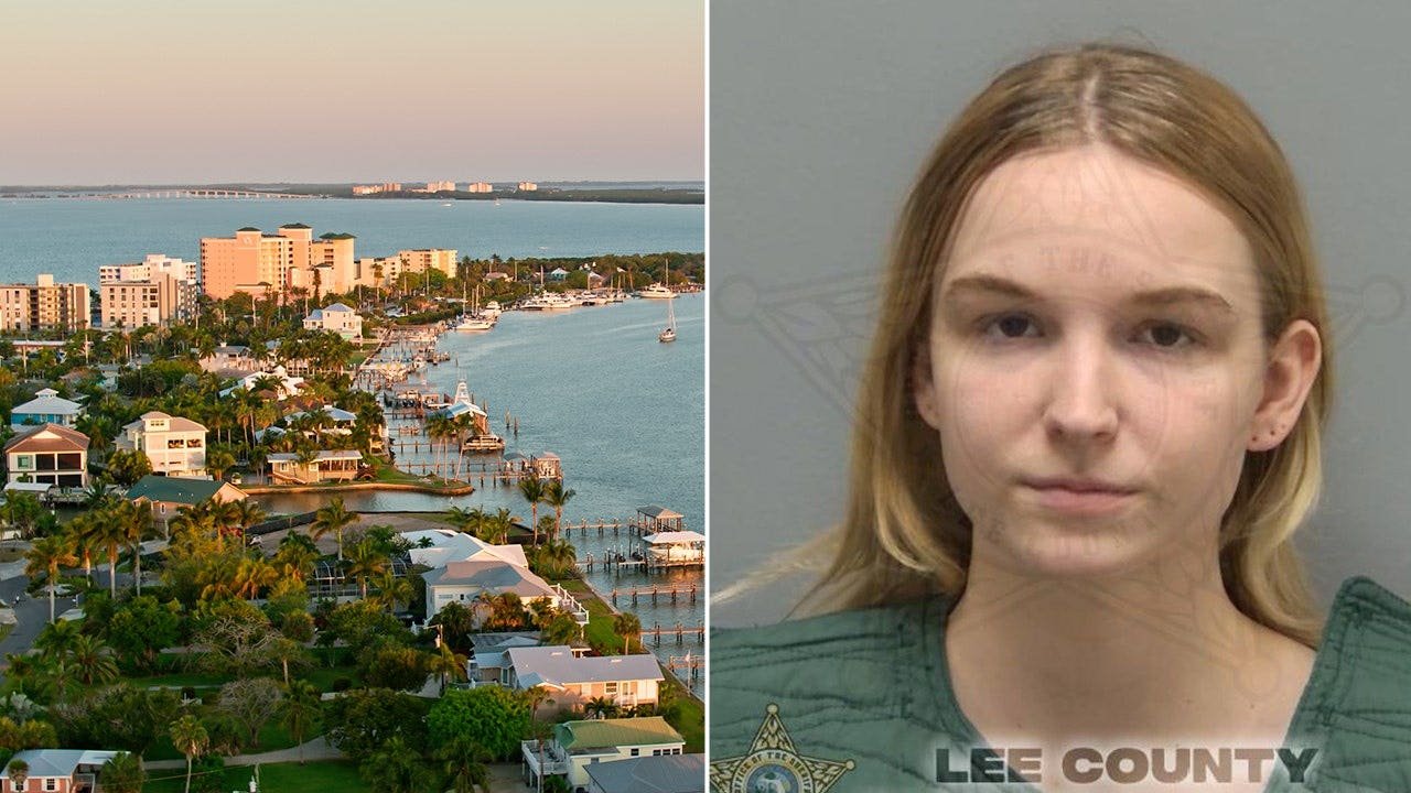 laura-nicholson-arrest-03.jpeg