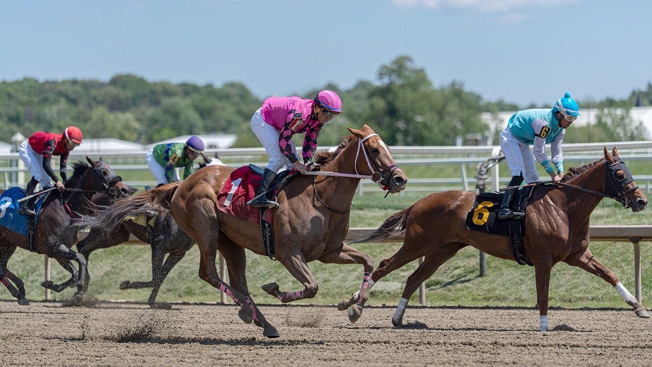 laurel-park-preakness-meet-fox-news-001.jpeg