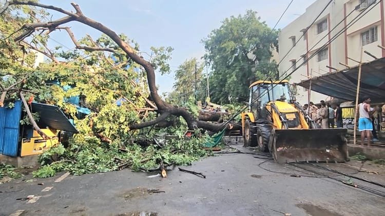 Up: 96 people died in the storm in UP, 18 in Bhadohi and 17 in Prayagraj – Up: 96 people died in the storm in Up, 18 in Bhadohi and 17 in Prayagraj.