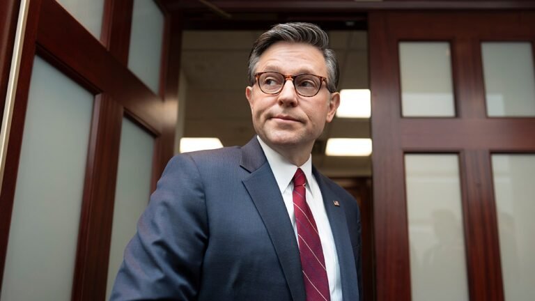Mike Johnson predicts Republicans could gain 7-8 seats in midterms