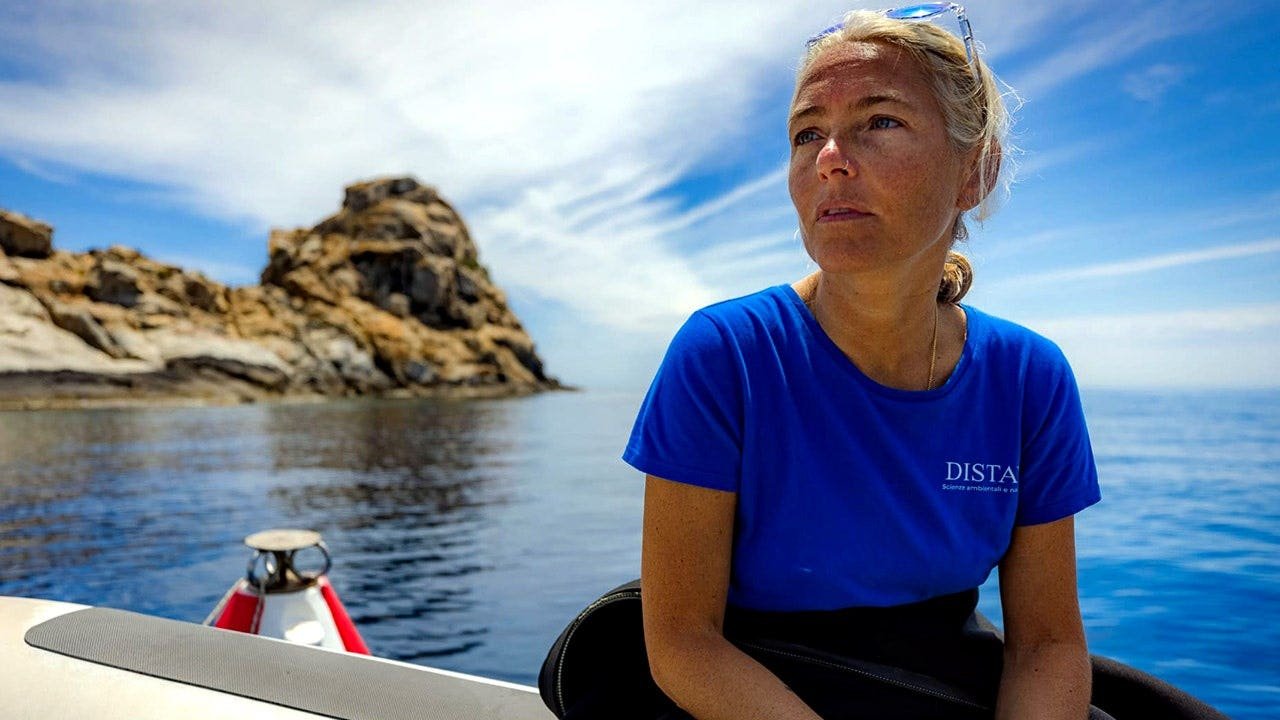 monica-montefalcone-scuba-diver-fox-news-001.jpeg