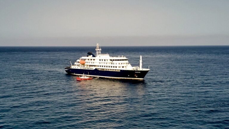 Swiss traveler tests positive for hantavirus after MV Hondius cruise