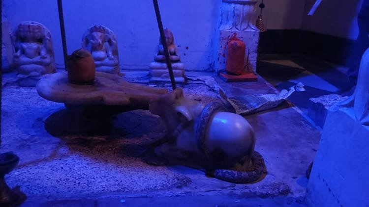 What kind of miracle is this: The snake was wrapped around Nandi Maharaj in the Shiv temple for hours, the news spread like wildfire in the area; Watch Video – Snake Remained Coiled Around Nandi Maharaj At Shiva Temple For Hours In Mathura