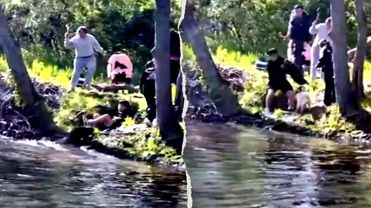 nj-beaver-attack-display.jpeg