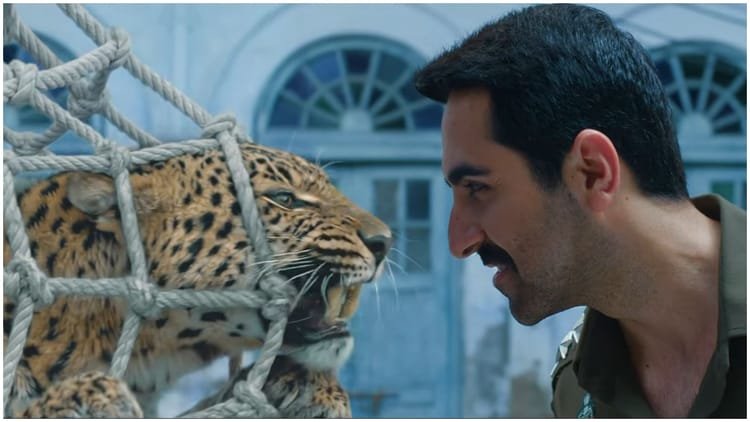 Pati Patni Aur Woh Do Trailer: Trailer of ‘Pati Patni Aur Woh Do’ released, Ayushmann Khurrana trapped in trio – Pati Patni Aur Woh Do Trailer Release Ayushmann Khurrana Wamiqa Gabbi Sara Ali Khan And Rakul Starrer