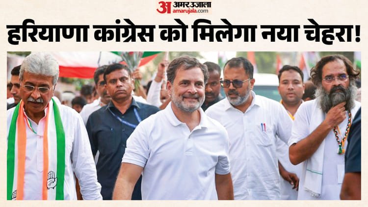 Political signal: With Rahul’s blessings, he can become the new face of Haryana Congress, fits into this equation – Rahul Gandhi Bet On Brijendra Singh Signals New Leadership Push In Haryana Congress