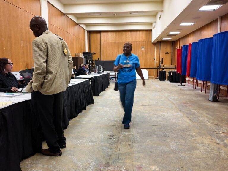 Why Louisiana paused its US House primary election amid redistricting push | US Midterm Elections 2026 News