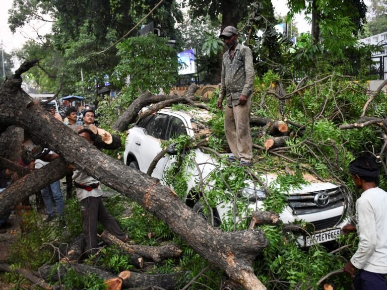 Duststorms and lightning kill at least 96 people in northern India | Weather News