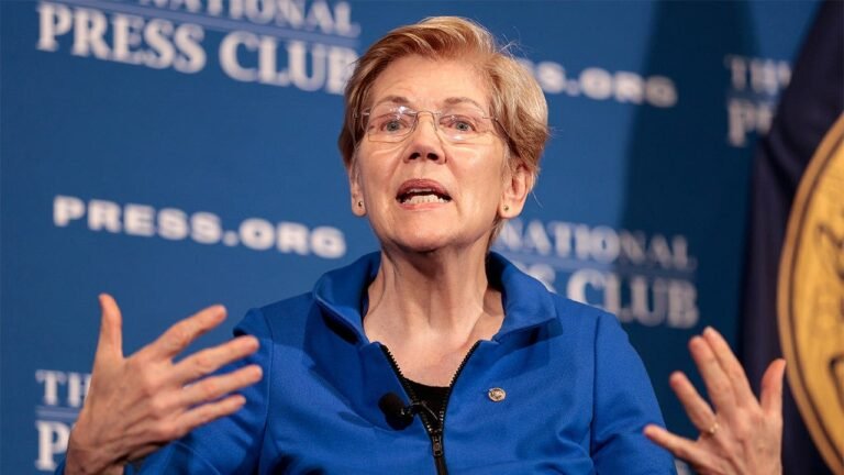 Warren skipped Direct File despite years of promoting the program