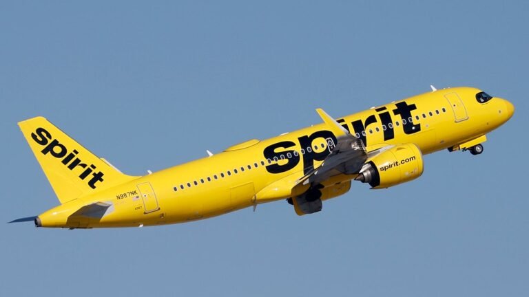 Biden blocking JetBlue-Spirit merger blamed for airline’s collapse