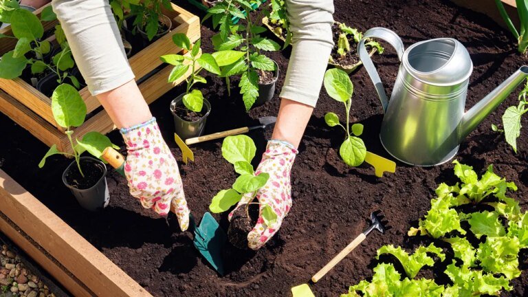Wayfair’s Outdoor Event is live: Save up to 77% on gardening deals for a limited time