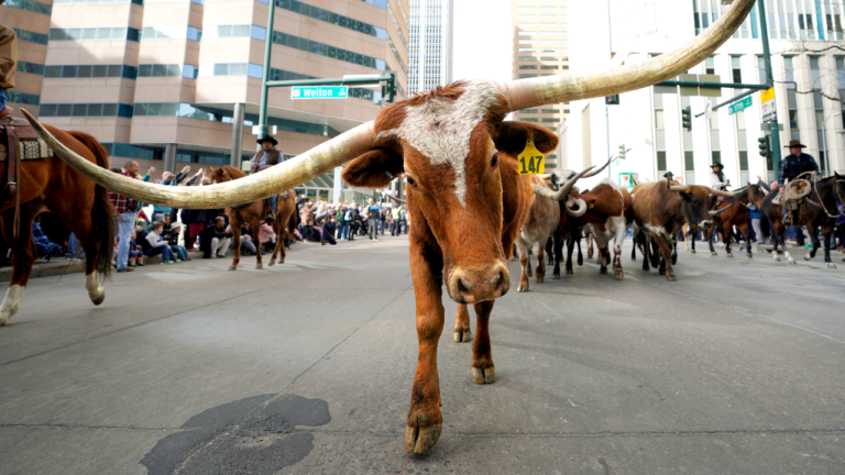 Dallas Mayor Eric Johnson says NYC punishes success, pitches ‘Y’all Street’
