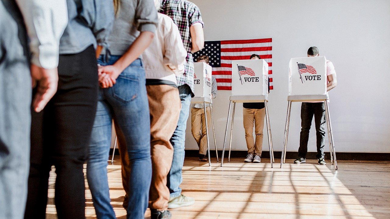voting-line.jpg