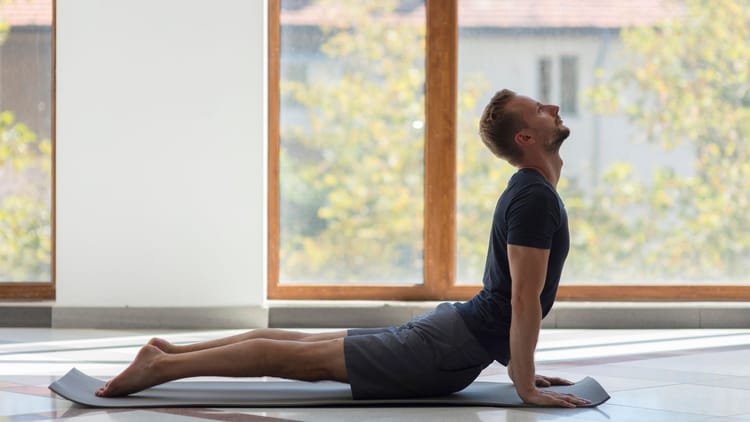 Telangana: Record of Bhujangasana will be made today, people from seven countries will participate, aim is to take yoga to schools – Telangana-yoga-mahotsav-bhujangasana-record-kanha-shanti-vanam-international-participation-countdown-hyderabad