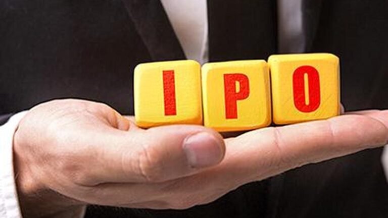 Hexagon Nutrition IPO Day 2: subscribed 3.87 times so far, SBI Securities recommends subscribe