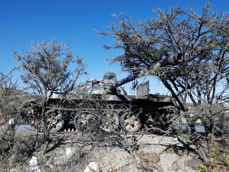 Ethiopia is not being ‘dragged into war’ | Opinions