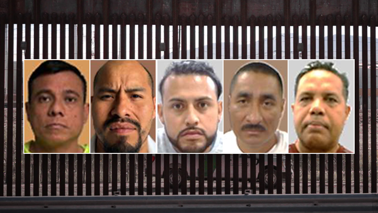 5-split-DHS-mugshots.png