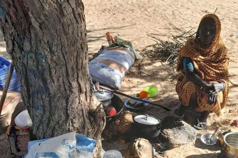 Escaping Darfur: Mothers face starvation under trees in Chad | Conflict