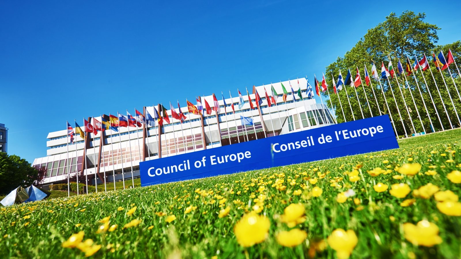 Council-of-Europe.jpg