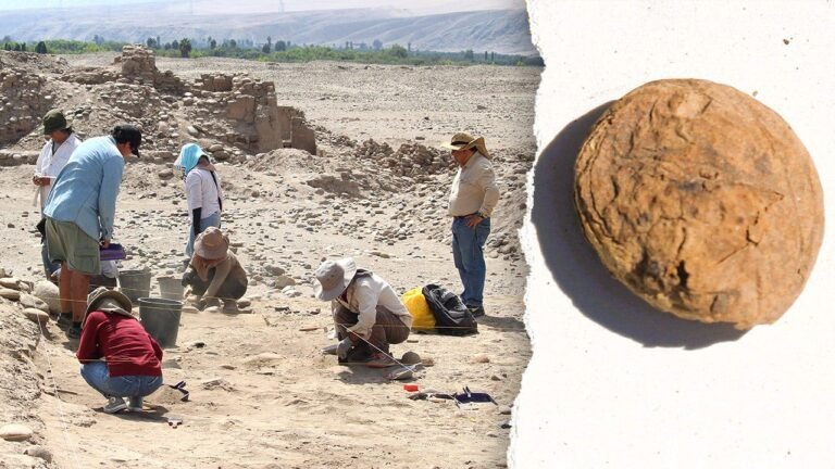 Archaeologists in Peru discover 500-year-old Incan freeze-dried potatoes