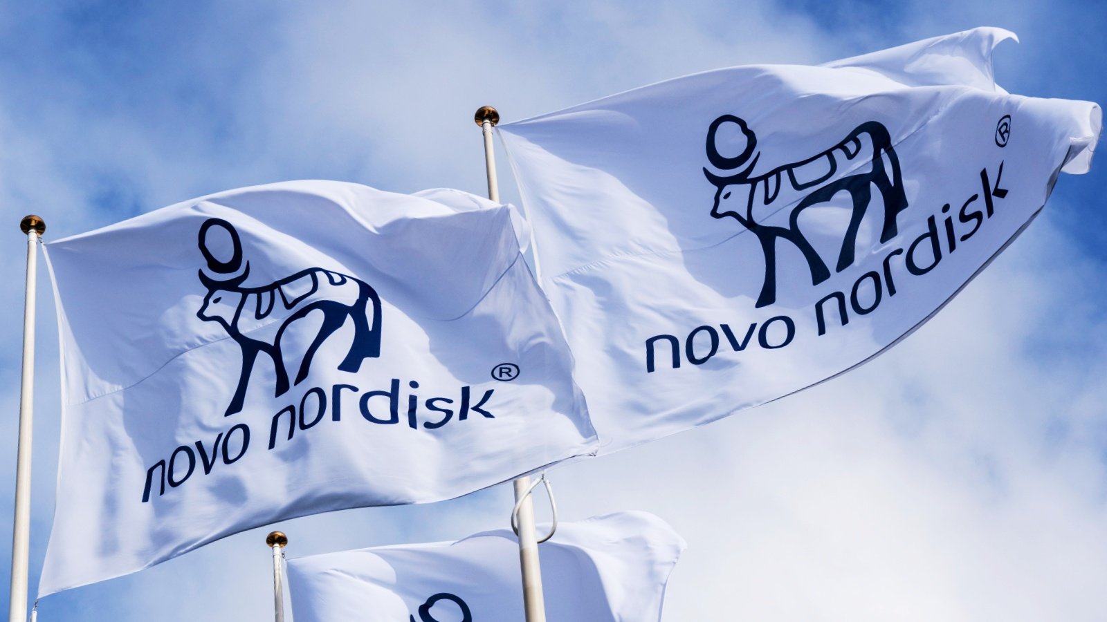 Novo_Nordisk.jpg