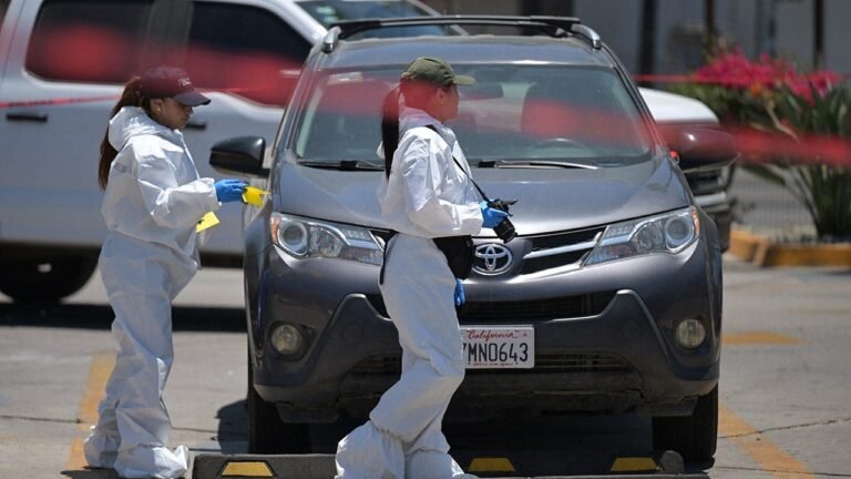 Decomposing body found near stadium where Iran World Cup team trains