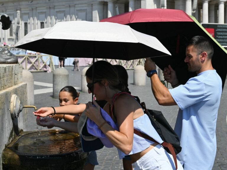 European heatwave causes 1,000 excess deaths in France | Weather News