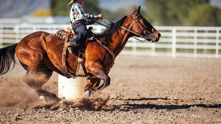 Teen barrel racer allegedly stabs 3 horses at Las Vegas competition