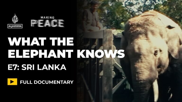 What The Elephant Knows | Ep 7 – Sri Lanka | Wildlife