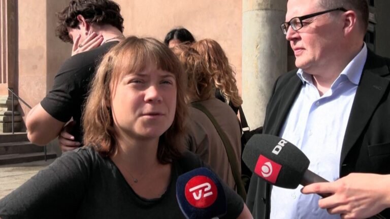 Greta Thunberg pleads not guilty in trespassing case over 2024 pro-Palestin | Newsfeed