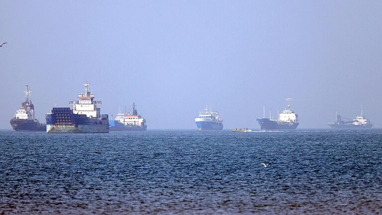 Hapag-Lloyd warns of ‘new normal’ in Strait of Hormuz amid US-Iran strikes