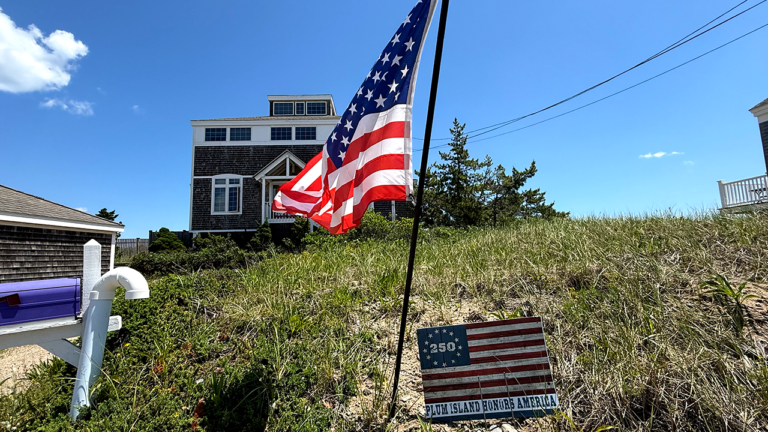 Massachusetts town residents warned American flags may violate species laws