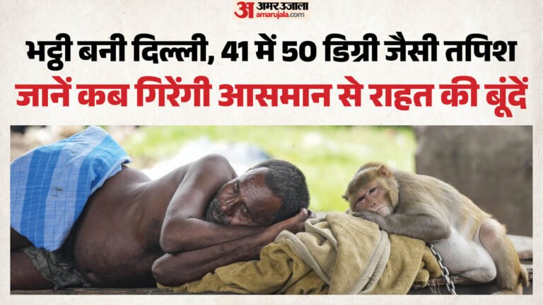 Triple attack of sun, heat and humidity: 50°c heat felt in Delhi, IMD told two dates of rain; Alert issued – Delhi-ncr Weather News In Hindi Heat And Humidity