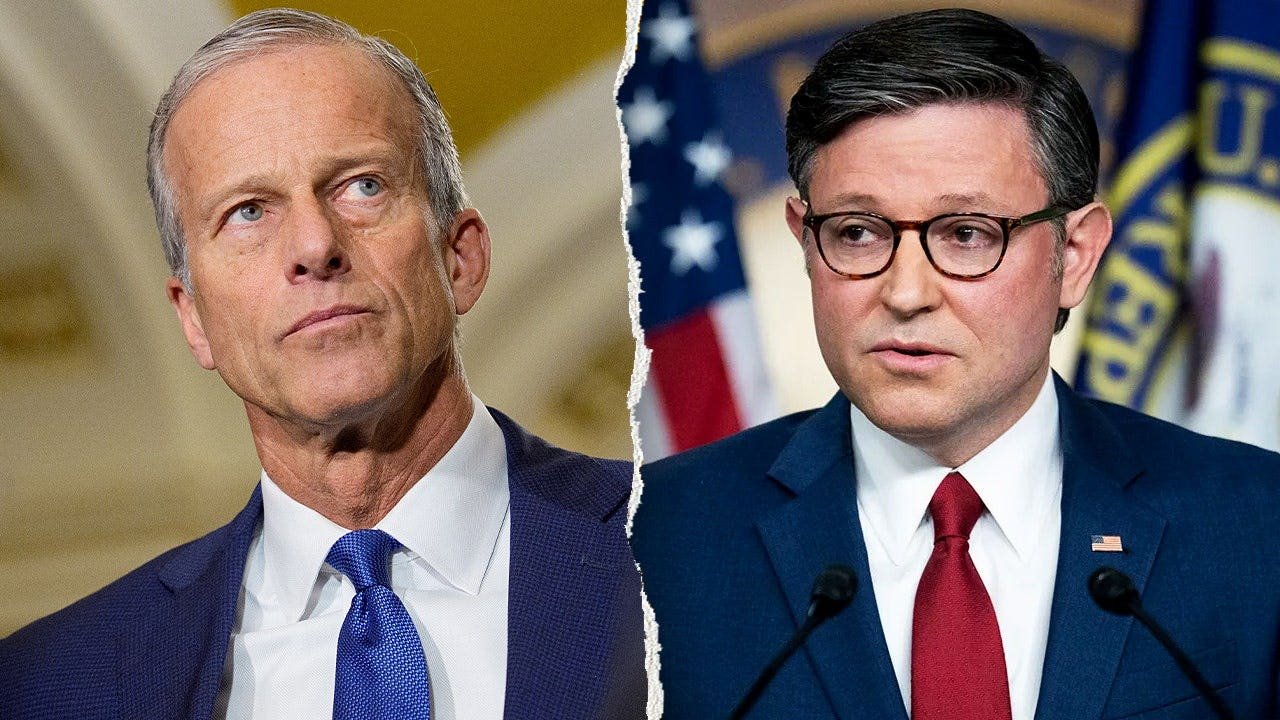 thune-johnson-split-3.jpeg