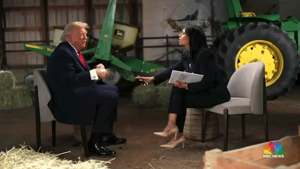 ‘Meet the Press’ interview cut short as Trump clashes with Kristen Welker