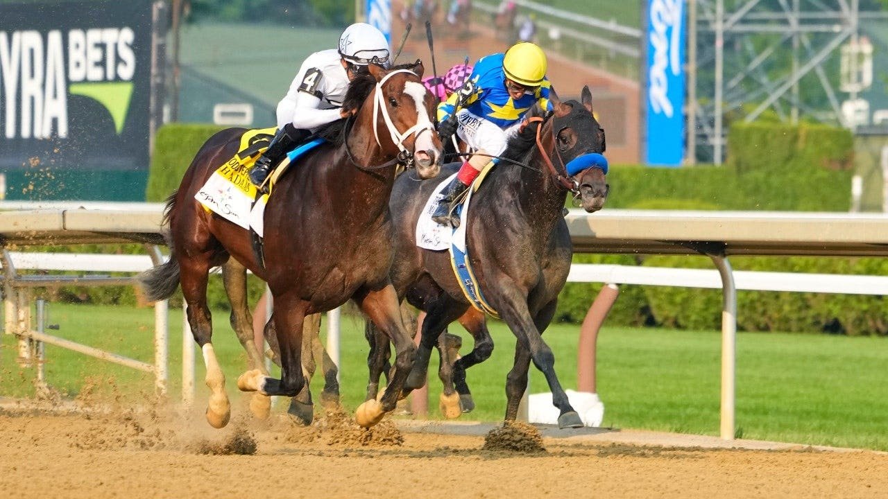 woody-stephens-stakes-saratoga-fox-news-001.jpeg